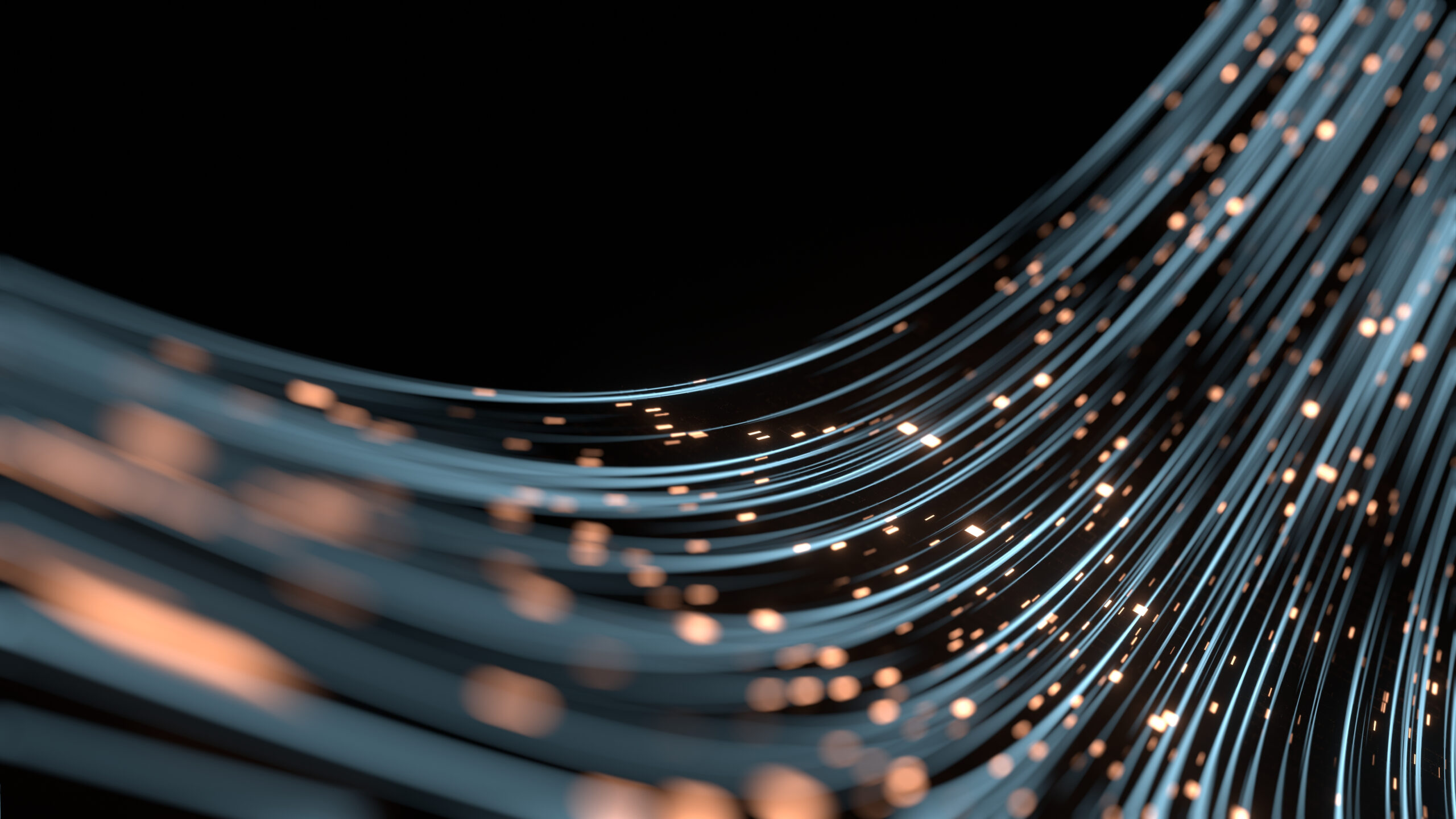 Risk: Managed or Missed? Four Structural Gaps Reshaping Working Capital Risk